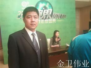 案例展示（劉亦菲）